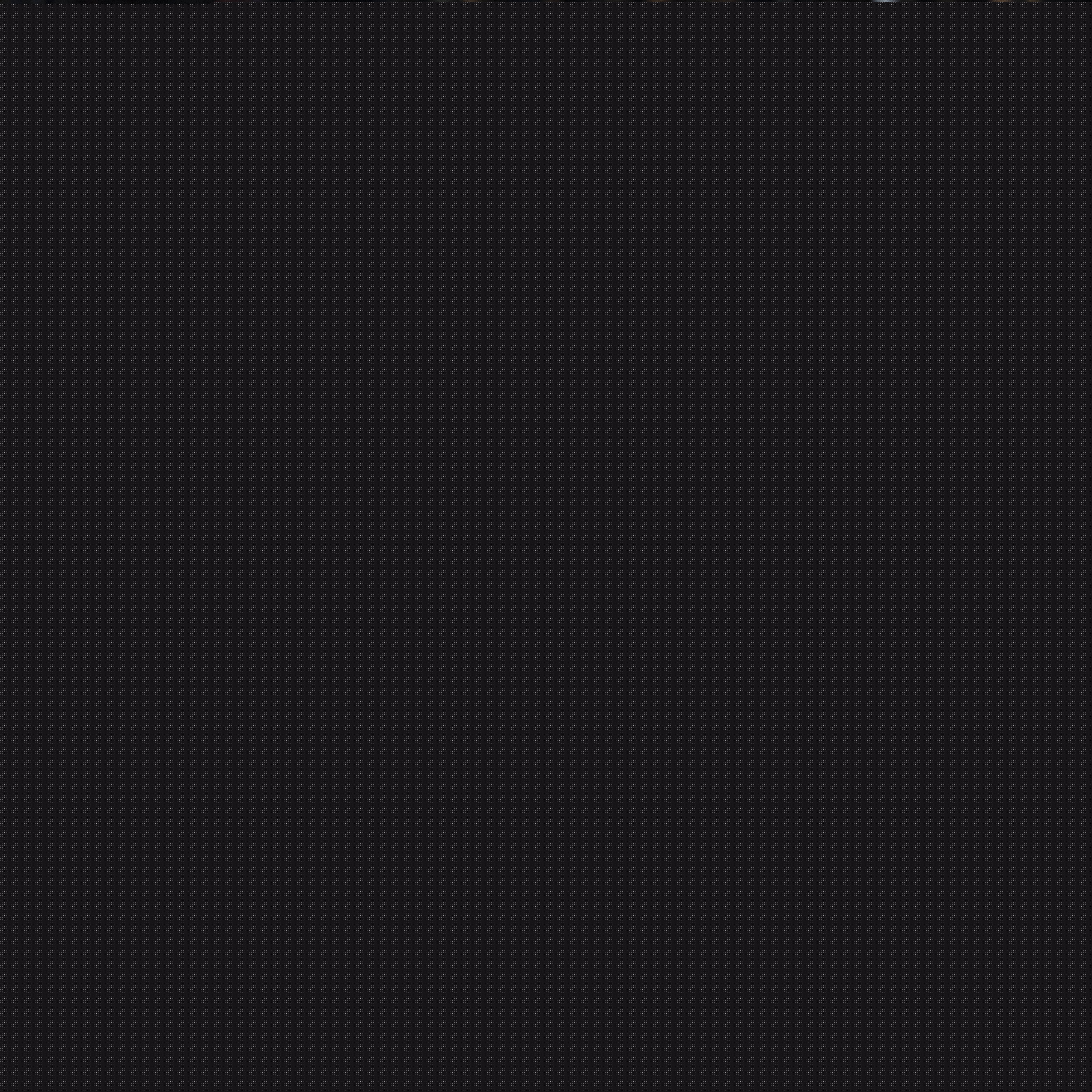 德国和意大